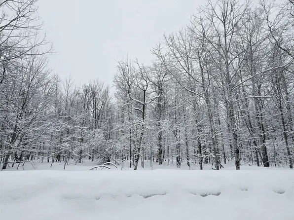 311 Parkridge Dr, Mancelona, MI 49659