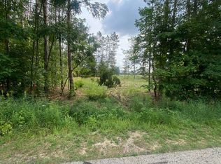 413 Maplebrooke Ln, Cadillac, MI 49601