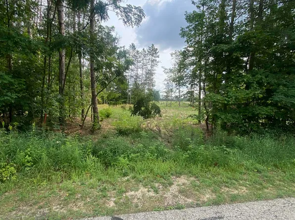 413 Maplebrooke Ln, Cadillac, MI 49601