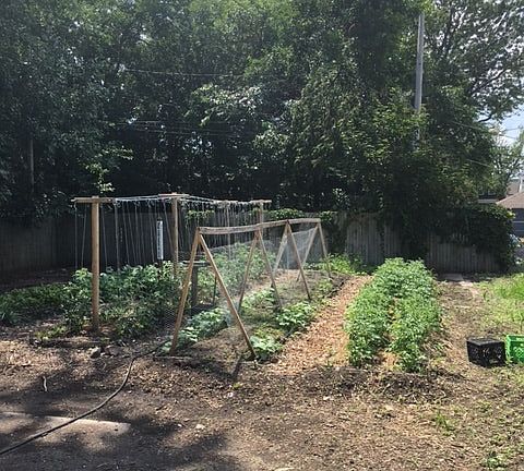 Backyard garden area
