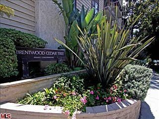 2nd image of 11706 Montana Ave APT 205