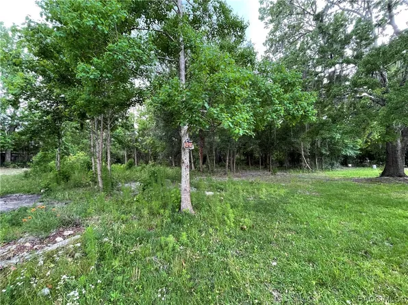 986 S Crystal Grove Point, Homosassa, FL 34448