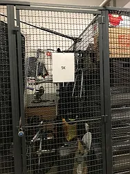 Rented by Miriam Izsak Realty  LLC