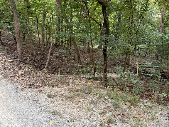 2nd image of Tbd Chiefs Lane