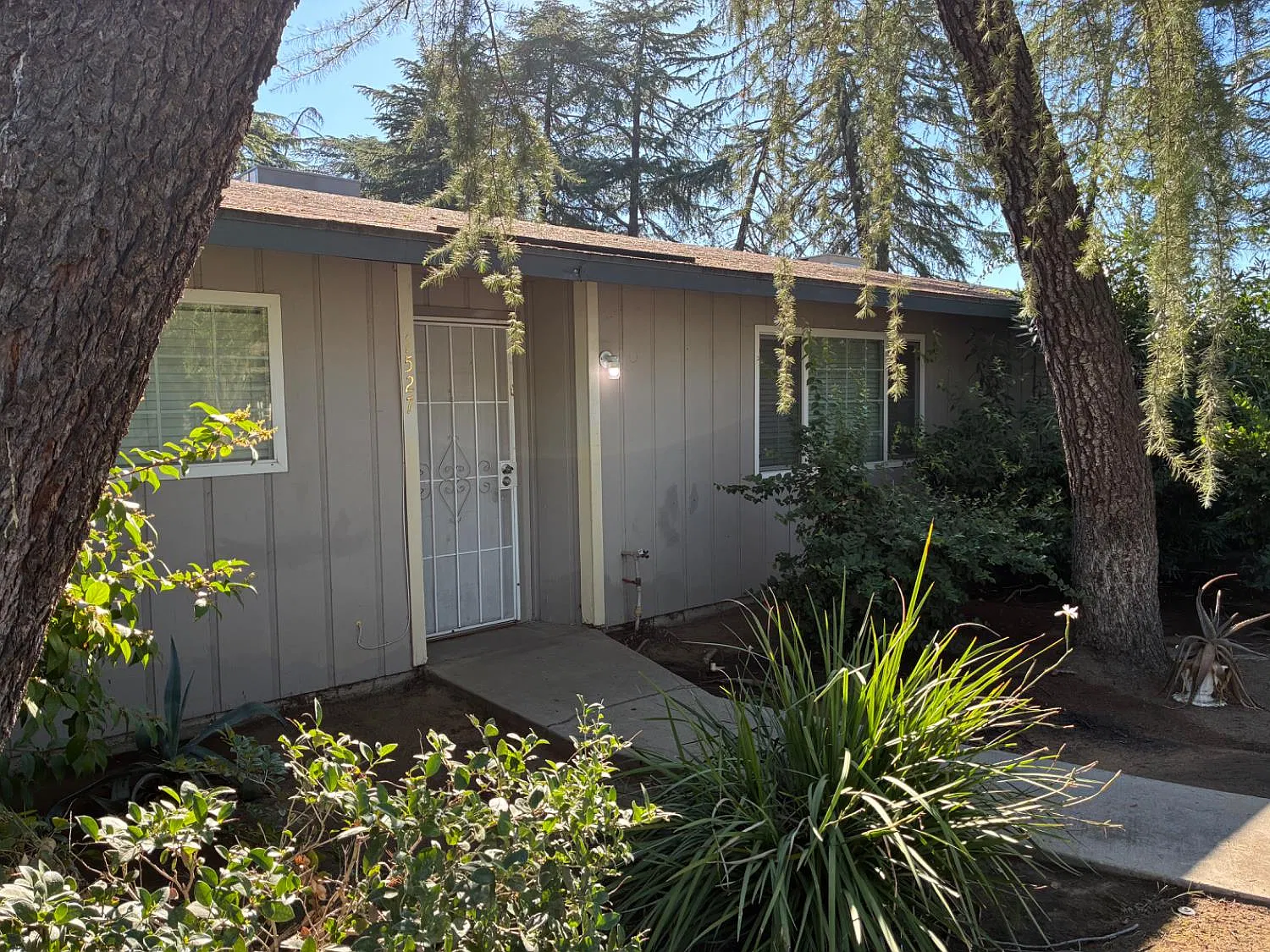 2 bed, 950 sqft, $1,550 — Photo 2