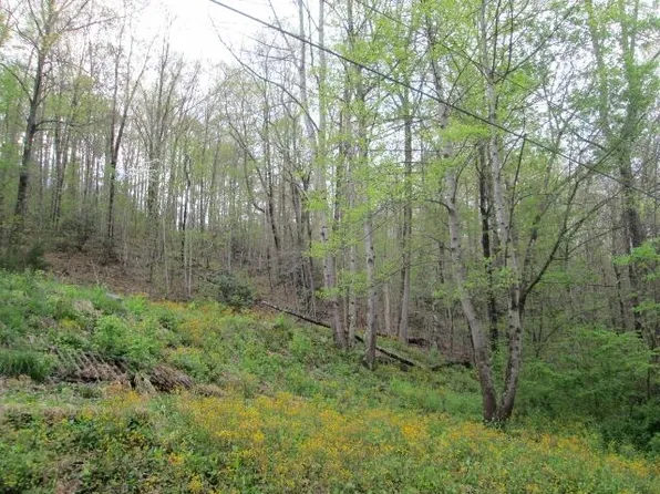 0 Southerland Branch Rd, Raven, VA 24639