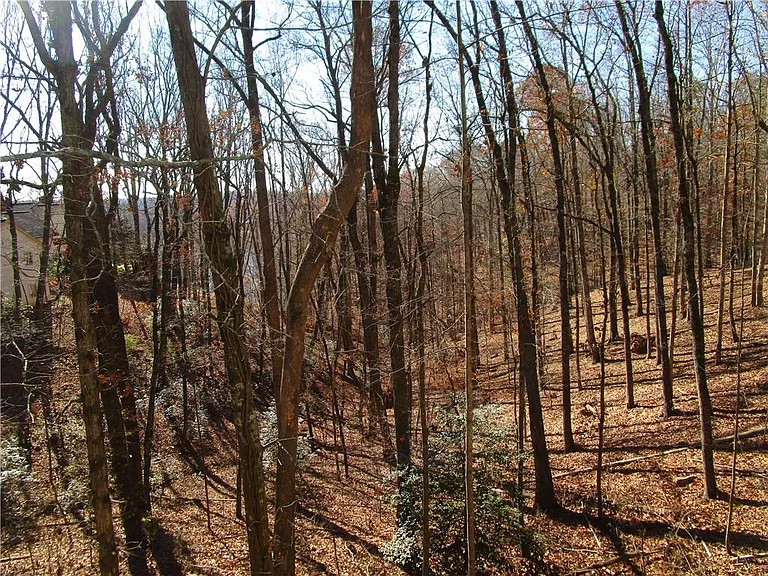 2429 Thompson Mill Rd — Photo 50