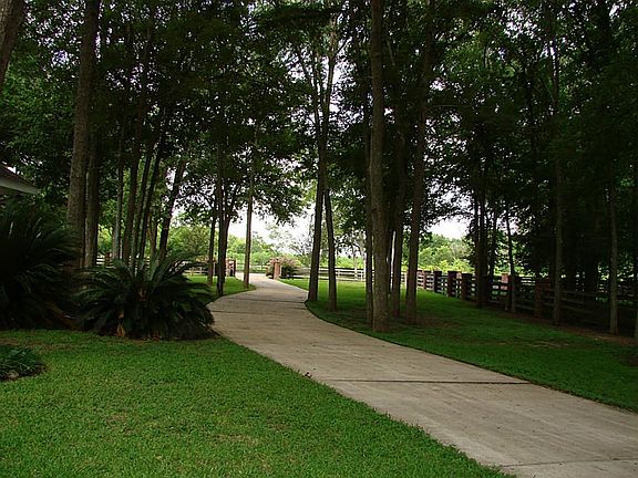 ANOTHER VIEW FROM THE HOUSE