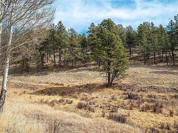 4th image of 244 High Pasture Rd