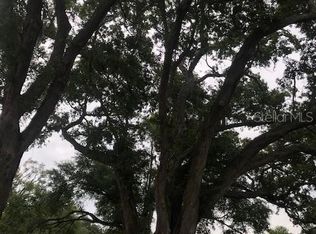 370 Lakeview Rd, Winter Garden, FL 34787