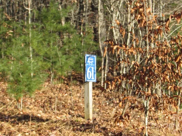 0 High Peak Dr #61, Burnsville, NC 28714