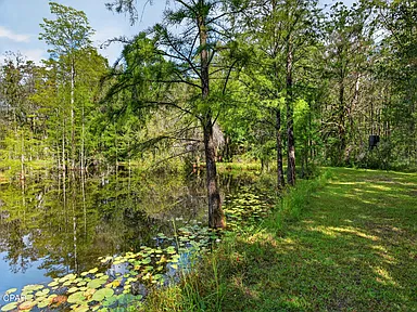 Property photo 46