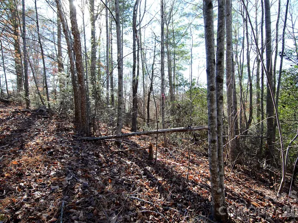 0 Wildwood Mountain Ln #8, Marion, NC 28752