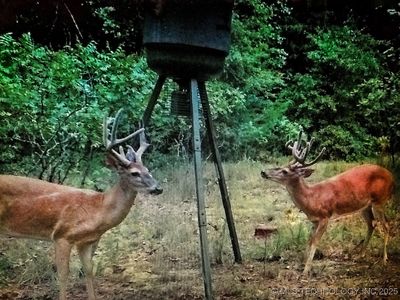 5811 W Folsom Rd, Caddo, OK, 74729