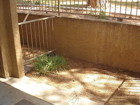4th image of 18811 N 19th Ave APT 1011