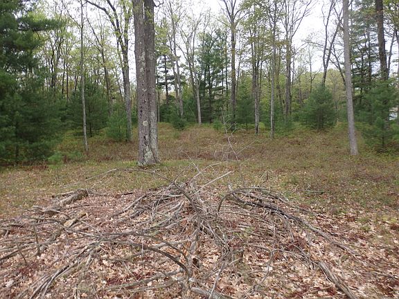 4th image of Hardwood Dr