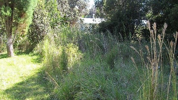 2nd image of Pukeawe Way Lot 259