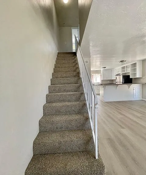 8259 Roy St — Photo 10