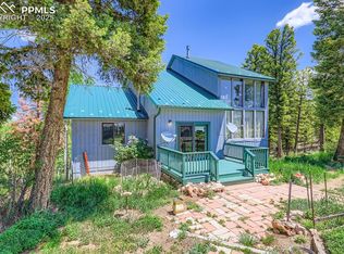 147 Shavano Creek Trl, Florissant, CO 80816
