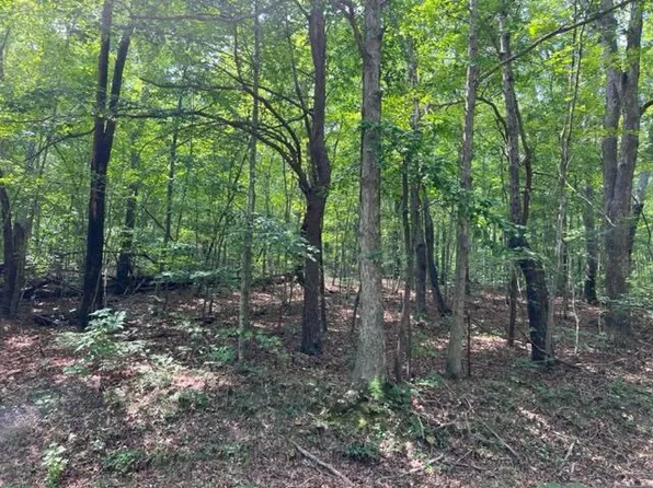 1522 Vulcan Rd, Rising Fawn, GA 30738