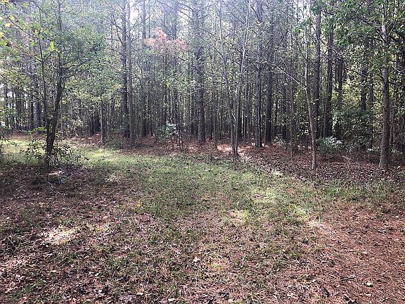 4th image of 0 S Cartersville Hwy