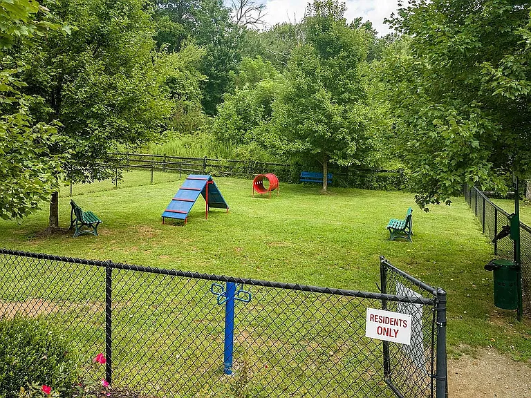 Experience unparalleled joy at our community dog park, nestled amidst greenery.