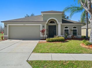 12217 Southbridge Ter, Hudson, FL 34669