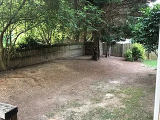 1817 Misty Hollow Ln — Photo 10