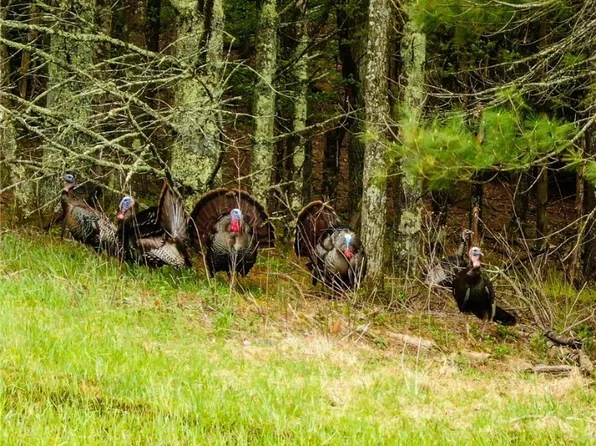 000 Old Hampton Road, Boone, NC 28607