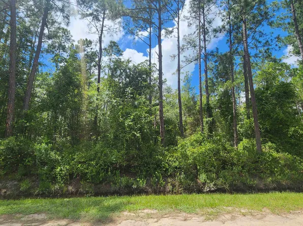 0 Erickson Ave, Hastings, FL 32145