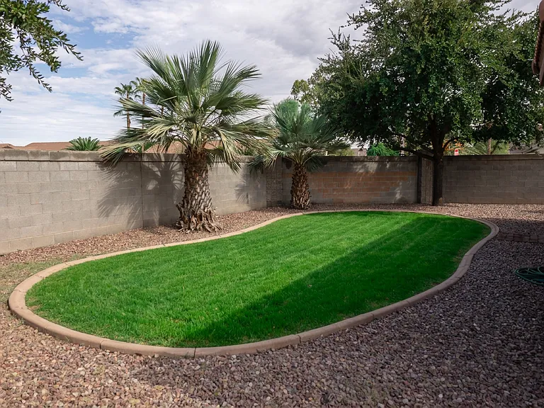 Grassy backyard