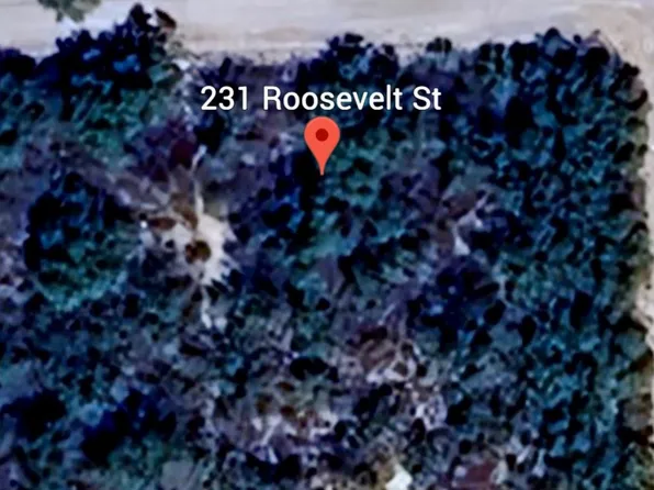 231 Roosevelt St, El Indio, TX 78860