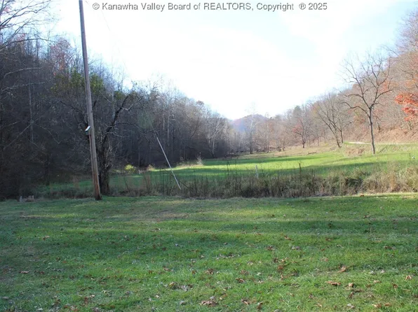 558 Sears Rd, Chloe, WV 25235