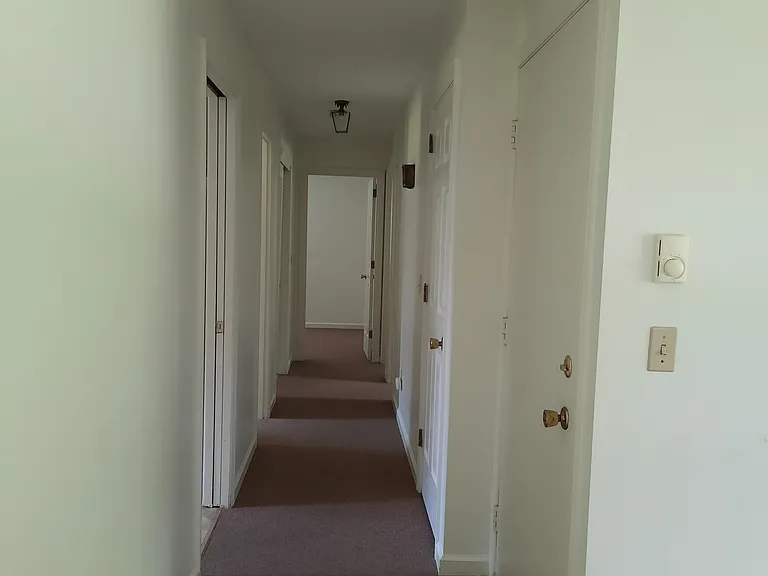 29B Plumtree Rd #B — Photo 7