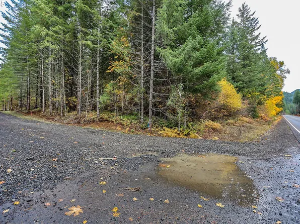 42 Hawk Meadows Rd, Carson, WA 98610