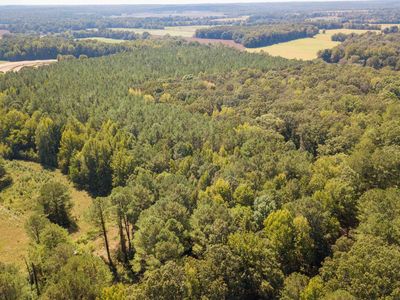 0 Puron Rd, Adamsville, TN, 38310