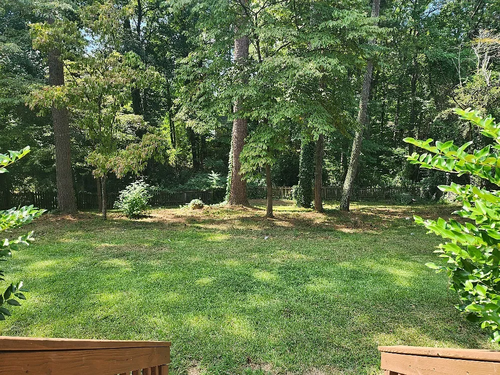 124 Loblolly Circle - 1 — Photo 4