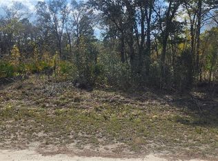 18043 RAMSEY ROAD LOT 11, WEEKI WACHEE, FL 34614