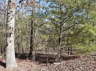 194 Dogwood Ct, Spring City, TN 37381