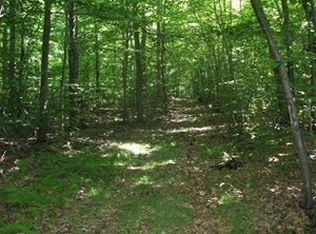 653 Chase Rd, Afton, NY 13730