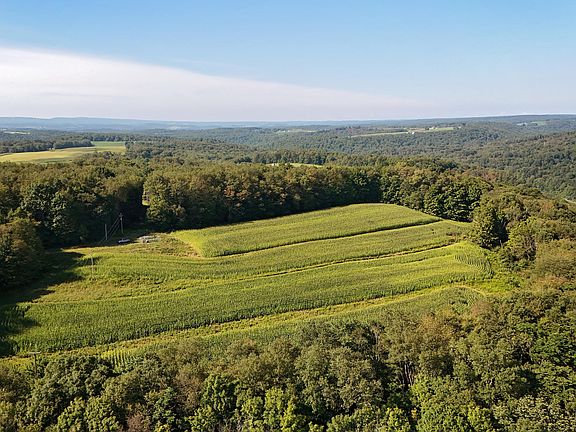 4th image of Patricks Rd