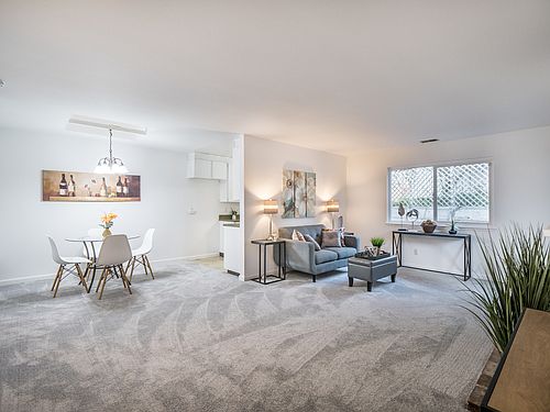 4th image of 1570 Dolphin Dr