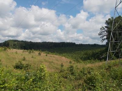 0 Rose Creek Rd, Selmer, TN, 38375
