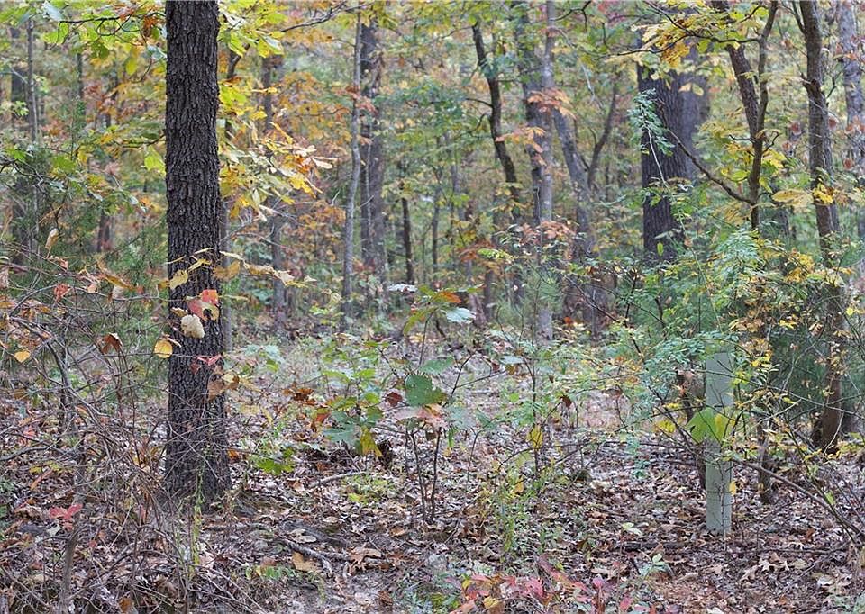 2nd image of Lockerbie Ln/lockerb