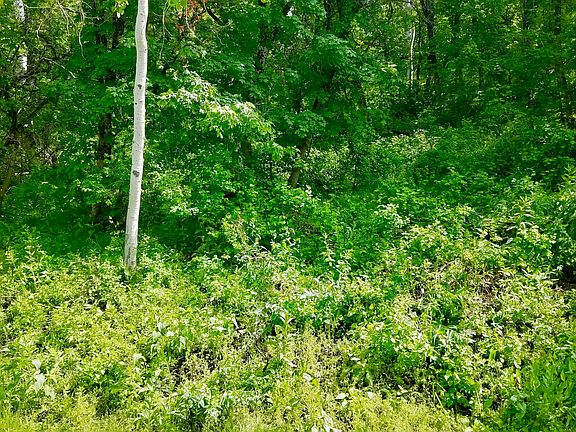 3rd image of 2472 S Forest Cir #B-32