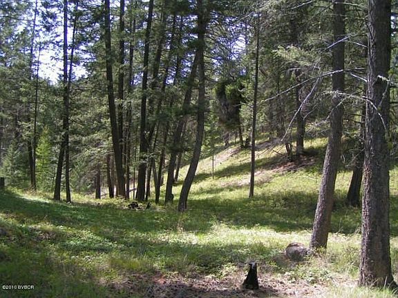 24.1 acres of trees, creek, and meadow.