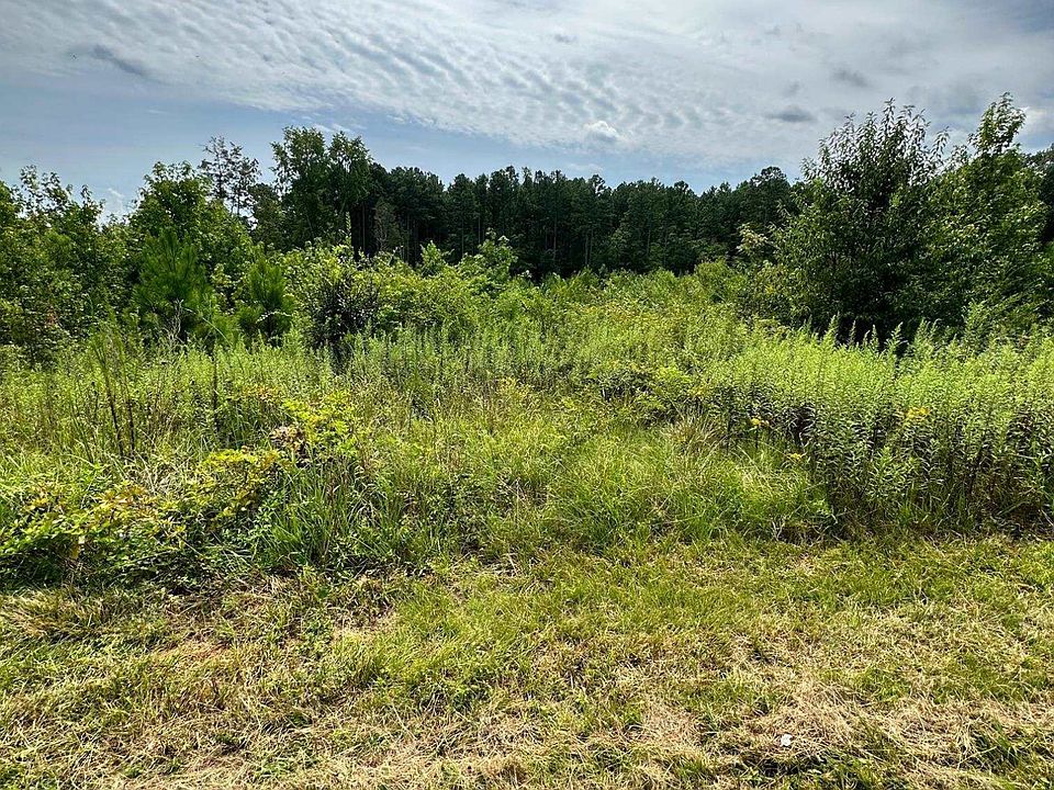 2nd image of 3226 Bruce Garner Rd Lot 4