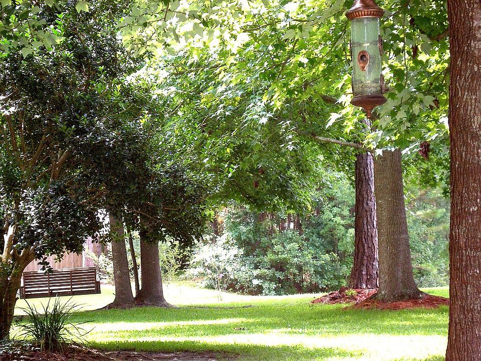 Swing with lake view