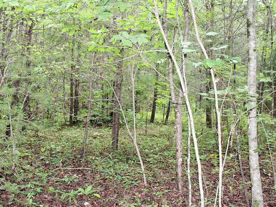 1st image of LOT 4 Downings Crk