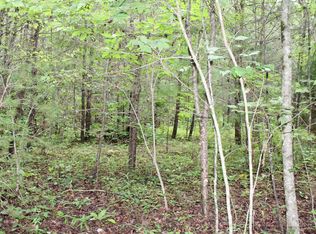 LOT 4 Downings Crk, Hayesville, NC 28904